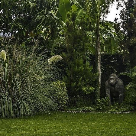 Casa Domingo Hotel Petit Miacatlán エクステリア 写真